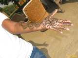 Click to see IMG_2947c.jpg