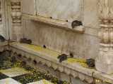 Click to see IMG_3031c.jpg