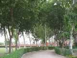 Click to see IMG_3058c.jpg