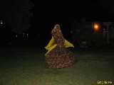 Click to see IMG_3102c.jpg