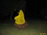 Click to see IMG_3103c.jpg
