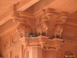 Click to see IMG_3122c.jpg