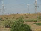 Click to see IMG_3338c.jpg