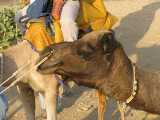 Click to see IMG_3374c.jpg