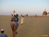 Click to see IMG_3389c.jpg