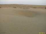Click to see IMG_3393c.jpg