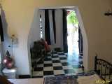 Click to see IMG_3429c.jpg