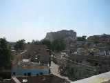 Click to see IMG_3433c.jpg
