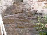 Click to see IMG_3442c.jpg