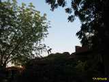 Click to see IMG_3491c.jpg