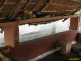 Click to see IMG_3500c.jpg