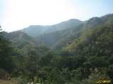 Click to see IMG_3535c.jpg