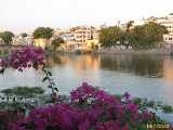 Click to see IMG_3545c.jpg