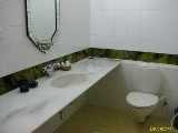Click to see IMG_3550c.jpg
