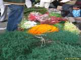 Click to see IMG_3675c.jpg
