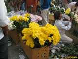 Click to see IMG_3683c.jpg
