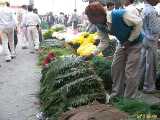 Click to see IMG_3686c.jpg