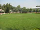 Click to see IMG_3709c.jpg
