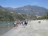 Click to see IMG_1526.jpg