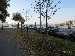 Click to see IMG_1116c.jpg