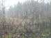 Click to see IMG_1173c.jpg