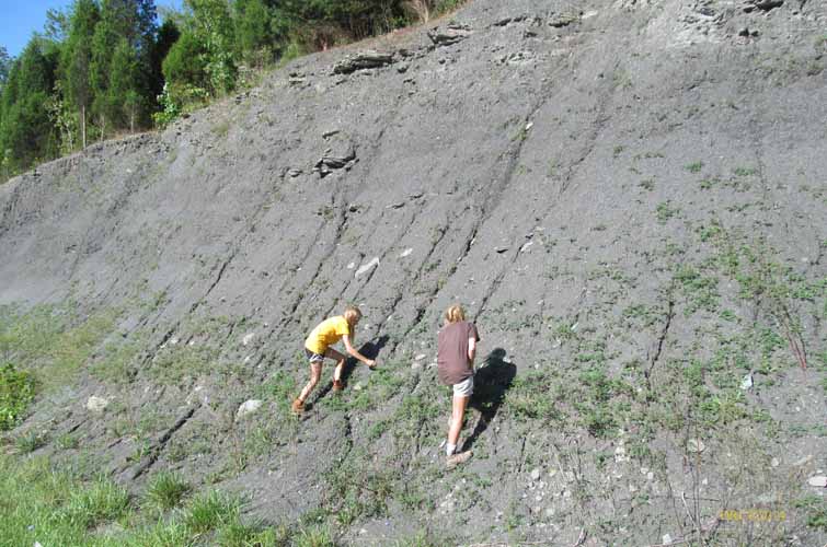 Outcrop of the Nada Member