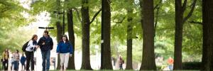 Students walking path between trees