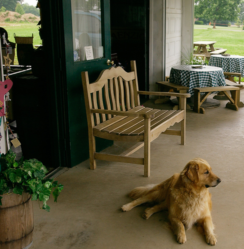 A dog lies on the porch of an agritourism food service enterprise