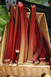 rhubarb at market