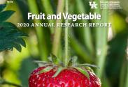 2020 UK Fruit and Vegetable Research Report cover