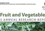 Fruit and Vegetable Research Report cover