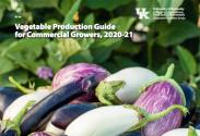 Cover page of ID-36, Vegetable Production Guide for Commercial Growers