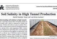 Soil Salinity in High Tunnel Production fact sheet image
