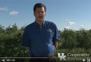 UK Horticulture Extension Associate Chris Smigell discusses vole management in blueberry production