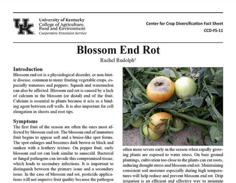 Blossom End Rot (CCD-FS-11) publication.