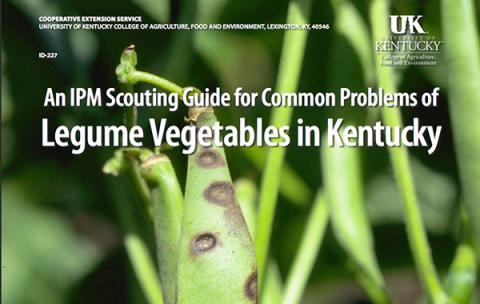 IPM Scouting Guide for Legume Vegetables