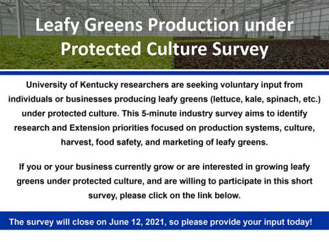 Leafy greens survey poster