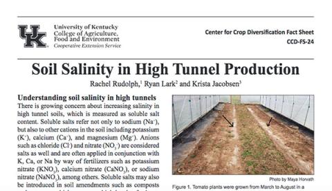 Soil Salinity in High Tunnel Production fact sheet image