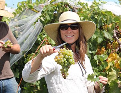 UK Viticulture Extension Specialist Patsy Wilson