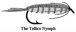 The Tellico Nymph