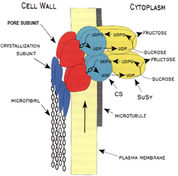 [Image of complex]