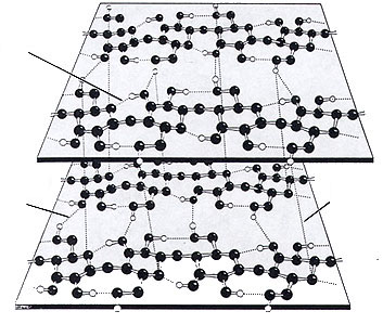 [Image of cellulose fibers]