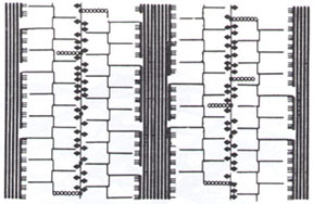 [Image of framework of cellulose microfibrils]