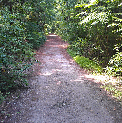 [Path to Conservation]