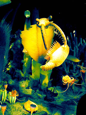 Burgess Shale diorama at the Royal Tyrrell Museum