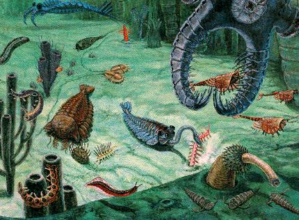 artist's concept of Burgess Shale life