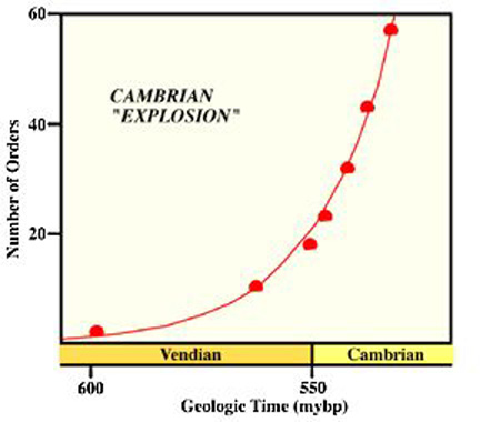 cabex.jpg (34227 bytes)