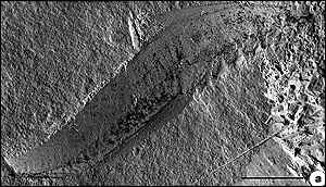 camfishfossil.jpg (13893 bytes)